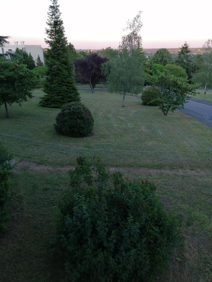 Appartement Pres De Beauval Et Des Chateaux Montrichard Kültér fotó